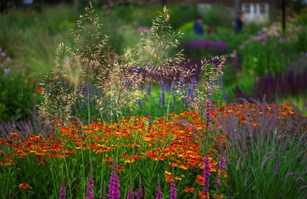 foto Edwin Barendrecht